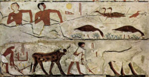 Storia dell'antico Egitto
