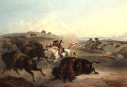 Nativi Americani: la caccia