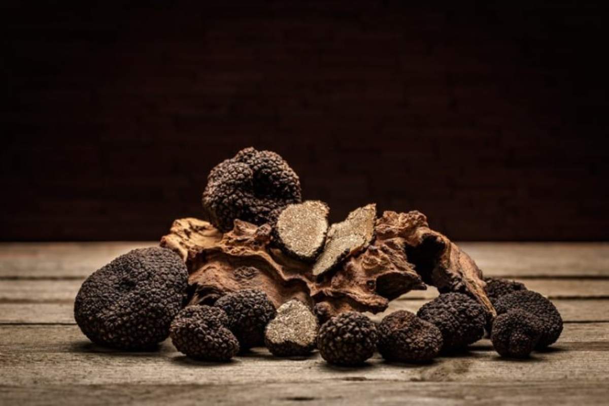 Tartufi neri su un piano di legno 