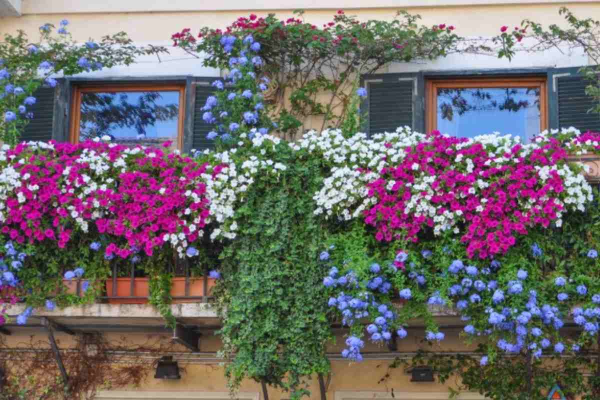 Balcone completamente ricoperto di piante in fiore 